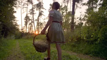 Zasłona do filmu "Obudź się" #1913527