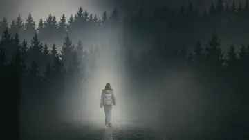 Zasłona do filmu "Dziewczyna we mgle" #263871