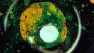 Zasłona do filmu "By Brakhage: An Anthology, Volume One" #1784515