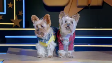 Zasłona do filmu "Pup Star: Razem raźniej" #406174