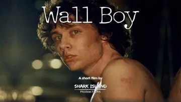 Zasłona do filmu "Wall Boy" #682346