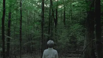 Zasłona do filmu "Ryuichi Sakamoto: CODA" #818473