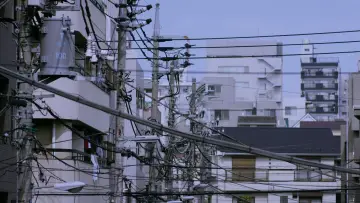 Zasłona do filmu "不能犯" #1032593