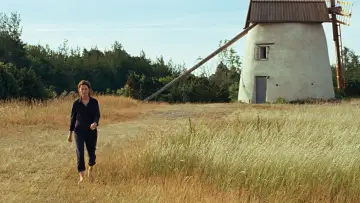 Zasłona do filmu "Wyspa Bergmana" #387141