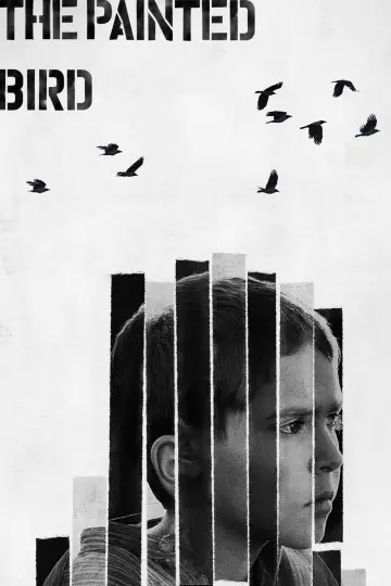 Plakat do filmu "Malowany ptak" #155190
