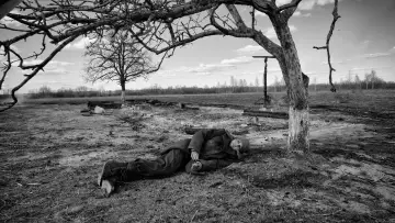Zasłona do filmu "Malowany ptak" #371965