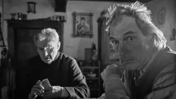 Zasłona do filmu "Malowany ptak" #371966
