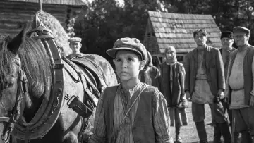 Zasłona do filmu "Malowany ptak" #371979