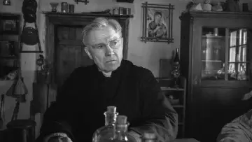 Zasłona do filmu "Malowany ptak" #371984