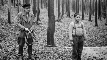 Zasłona do filmu "Malowany ptak" #371985