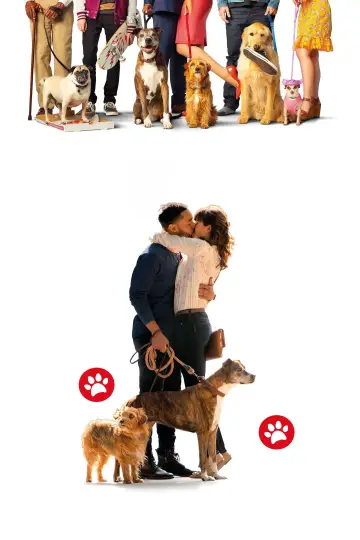 Plakat do filmu "Sezon na psa" #1073575