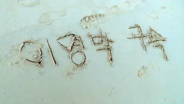 Zasłona do filmu "저수지 게임" #922491