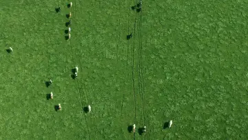 Zasłona do filmu "Kulisy przemysłu mlecznego" #1615816