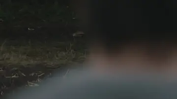 Zasłona do filmu "Pod ciemnymi gwiazdami" #1037530