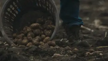 Zasłona do filmu "Pod ciemnymi gwiazdami" #1037535