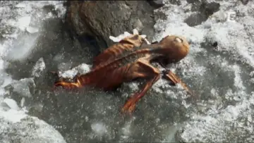 Zasłona do filmu "Iceman Reborn" #1909520