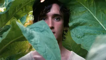Zasłona do filmu "Szczęśliwy Lazzaro" #219207
