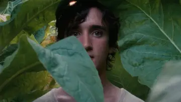 Zasłona do filmu "Szczęśliwy Lazzaro" #219220