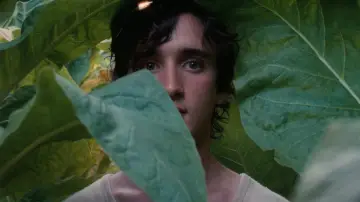 Zasłona do filmu "Szczęśliwy Lazzaro" #219224