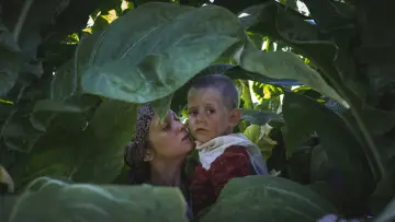 Zasłona do filmu "Szczęśliwy Lazzaro" #219225