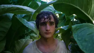 Zasłona do filmu "Szczęśliwy Lazzaro" #987910