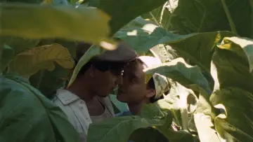 Zasłona do filmu "Szczęśliwy Lazzaro" #987912