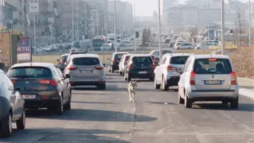 Zasłona do filmu "Szczęśliwy Lazzaro" #987915