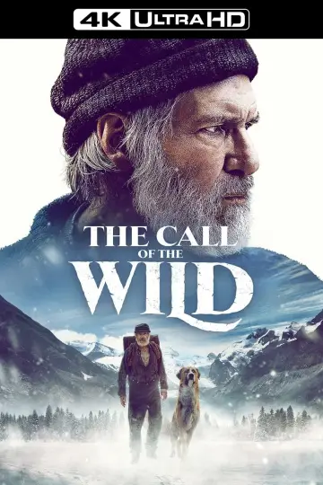 Plakat do filmu "Zew krwi" #59410