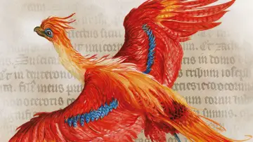 Zasłona do filmu "Harry Potter: A History Of Magic" #359036