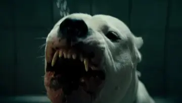 Zasłona do filmu "Dogman" #207739