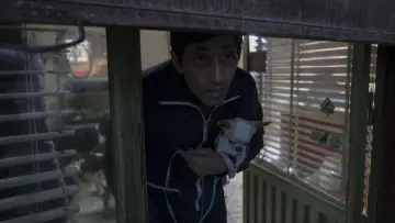 Zasłona do filmu "Dogman" #207741