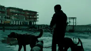 Zasłona do filmu "Dogman" #207745