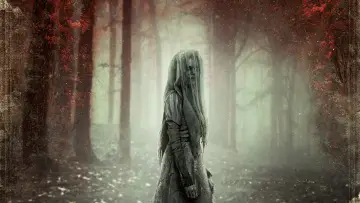 Zasłona do filmu "Topielisko. Klątwa La Llorony" #317179