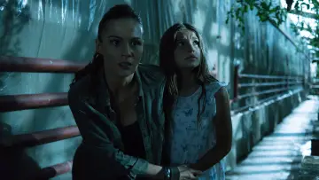 Zasłona do filmu "Day of the Dead: Bloodline" #328375
