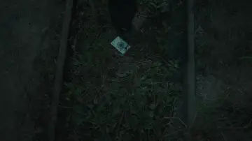 Zasłona do filmu "Długa podróż dnia ku nocy" #1013779
