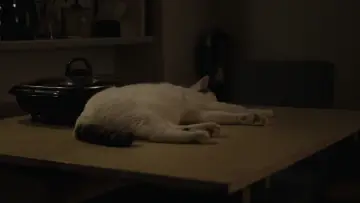 Zasłona do filmu "Asako. Dzień i noc" #1029468