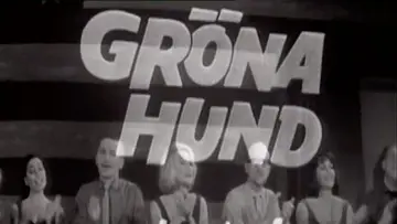 Zasłona do filmu "Gröna Hund" #730439