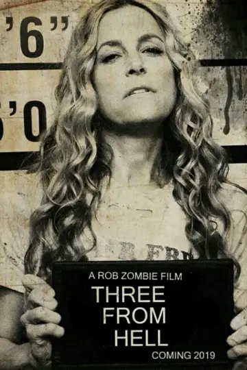Plakat do filmu "3 from Hell" #116104