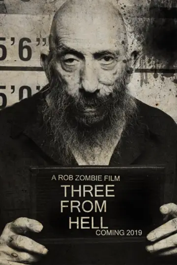 Plakat do filmu "3 from Hell" #116105