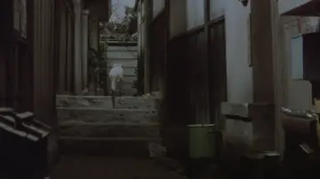 Zasłona do filmu "女は二度生まれる" #1522744
