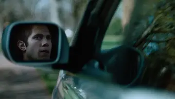 Zasłona do filmu "Zwierzęta Ameryki" #353066