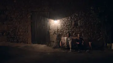 Zasłona do filmu "Motyle" #739958
