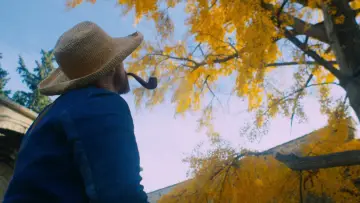 Zasłona do filmu "Van Gogh. U bram wieczności" #252534