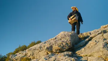 Zasłona do filmu "Van Gogh. U bram wieczności" #252539