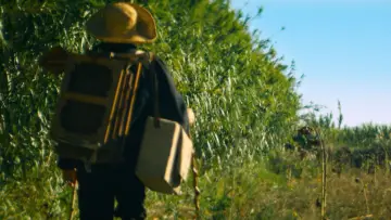 Zasłona do filmu "Van Gogh. U bram wieczności" #252543
