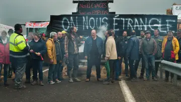 Zasłona do filmu "Naga Normandia" #459551