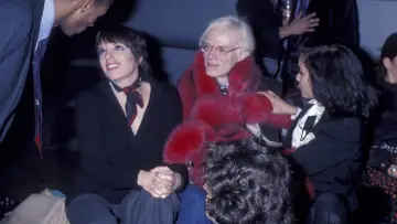 Zasłona do filmu "Studio 54" #1192033