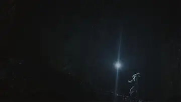 Zasłona do filmu "Spiritus Lepus" #1574492