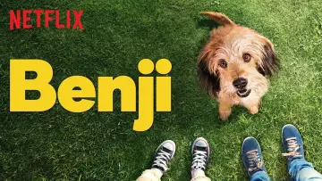 Zasłona do filmu "Benji" #1042922