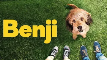Zasłona do filmu "Benji" #1042923